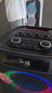 ลำโพงบลูทูธ ลำโพงกลางแจ้ง LT-2132 ดอก10นิ้ว2ดอก แถมไมค์ลอย2+รีโมท เสียบไมค์/กีต้าร์ได้ ลำโพงใหญ่ รองรับAUX TF USB BASS ECHO TREBLE GT.VOL