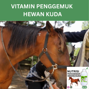 Vitamin Penggemuk Kuda Alami 500ml Nafsu Makan Naik Bobot Cepat Bertambah Maksimalkan Penggemukan