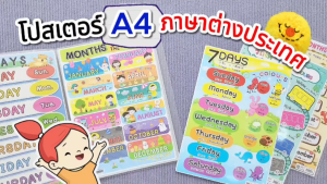แผ่นความรู้พลาสติก ขนาด A4 ( 12 Months 3 ภาษา 7 Days 12 Months มานับ 1-10 )หนา 0.3 มม.