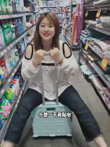 🇸🇬READY STOCK🇸🇬 Foldable Trolley Collapsible Trolley Wheels Basket || Box wheels Folding Shopping (HL0081)