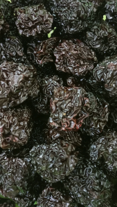 山东圆黑枣 500g Black Dates 圆黑枣 黑枣 果干 Shan Dong Round Black Dates Dried Fruit