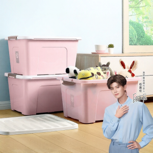 Maryya | Large Storage Box 62L 3 Units