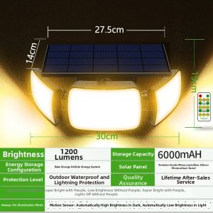 Solar Induction Wall Light