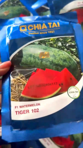 Hạt Giống Dưa Hấu F1 Tiger 102 CHIATAI (Gói 20gr) - Dạng trái đẹp ruột đỏ chắc cứng