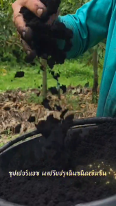 ซุปเปอร์แอช AJINOMOTO แบ่งขาย 1กก/1ถุง วัสดุปรับปรุงดินชนิดเข้มข้น  ปรับโครงสร้างดินแก้ปัญหาดินเสื่อม ดินทึบ ดินไม่อุ้มน้ำ ช่วยให้พืชแข็งแรง