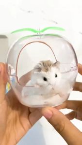 Sweet Apple Tempat Mandi Pasir Hamster mainan Rumah Hewan
