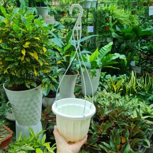 Chậu treo mini tròn bí 11x9cm cắm hoa nhựa trồng cây|Minh Hân Garden
