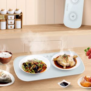 Electric Food Warmer Heater Food Warmer Tray