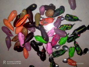 CANGKANG ATAU BODI SF SIZE 25 - 45 cm (beli 5 dapat 6)