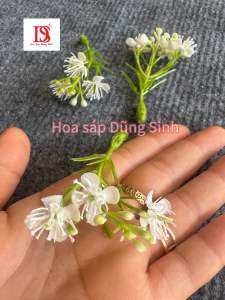 [ C446 ] ( Lẻ 100 GRAM ) Cỏ điểm baby loại cao cấp  sịn dùng trang trí hoa sáp  hoa giả