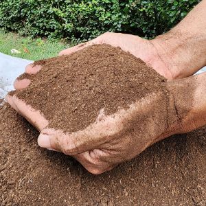 ขี้วัวนมหมัก ขนาดบรรจุ 5 กิโลกรัม เนื้อละเอียดสวยพร้อมใช้ ผ่านกระบวนหมักเพื่อการย่อยสลายอย่างสมบูรณ์ อุดมไปด้วยอาหารที่พืชสามารถดูดซึมไปใช้ได้ทันที ช่วยปรับสภาพดินให้ร่วนซุย เหมาะสำหรับการปลูกพืชพืชผัก ผลไม้ทุกชนิด