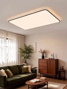 DGY | Modern Simple Elegant Eye-protection Ceiling Light For Living Room