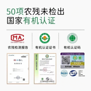 YIFANGYOUTA | Organic Non-GMO Green Core Black Beans For Soy Milk And Kidney Support