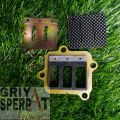 MEMBRAN F1ZR F1Z R FIZR CARBON KARBON ORIGINAL. 