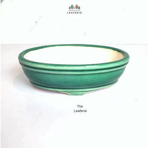 The Leaferie Bonsai Pot (Series 63) Oval plant pots flowerpot . flowerpots . flower pot . planter