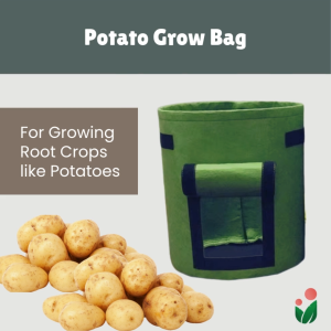 Potato Grow Bag for Growing Potatoes and other Root Crops