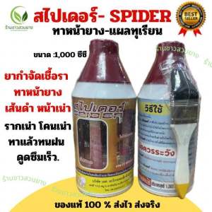 สไปเดอร์ ยาทาหน้ายางกำจัดเชื้อรา ดูดซึมเร็ว ฝนตกไม่ต้องทาซ้ำ เปลือกรัดเร็ว ทาได้ทั้งยางพาราและทุเรียน