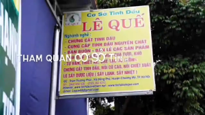 (Lê Quế) Tinh dầu long não LÊ GIA (Lê Quế Cũ) Chai 10ml Tinh dầu nguyên chất Koshka Home