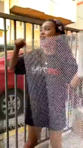 Gate Screen Plastic Screen Net Fence Indoor Net Chicken Net Wire Protection Net