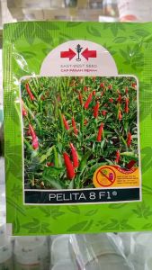 Benih Cabai Rawit Pelita 8 f110gr