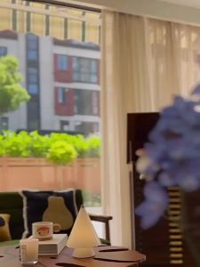 DOOYA | Smart Electric Curtain Track With Voice Control