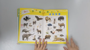 🦁TinyLion🦁หนังสือพูดได้ ไทย-อังกฤษ 15 ธีม หนังสือเสียงปฐมวัย ความรู้ทั่วไป หนังสือนิทานเด็ก การอ่านคำ