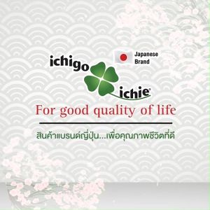 รถเข็นผู้สูงอายุนำเข้าจากประเทศญี่ปุ่น รุ่น KC-1 แบรนด์ อิชิโกะ อิชิเอะ ichigo ichie