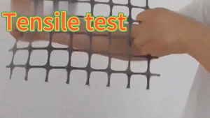 Plastic Fence Net Chicken Net 5FT Height 10/25/50M Chicken Net Household Isolation Garden Fence Net