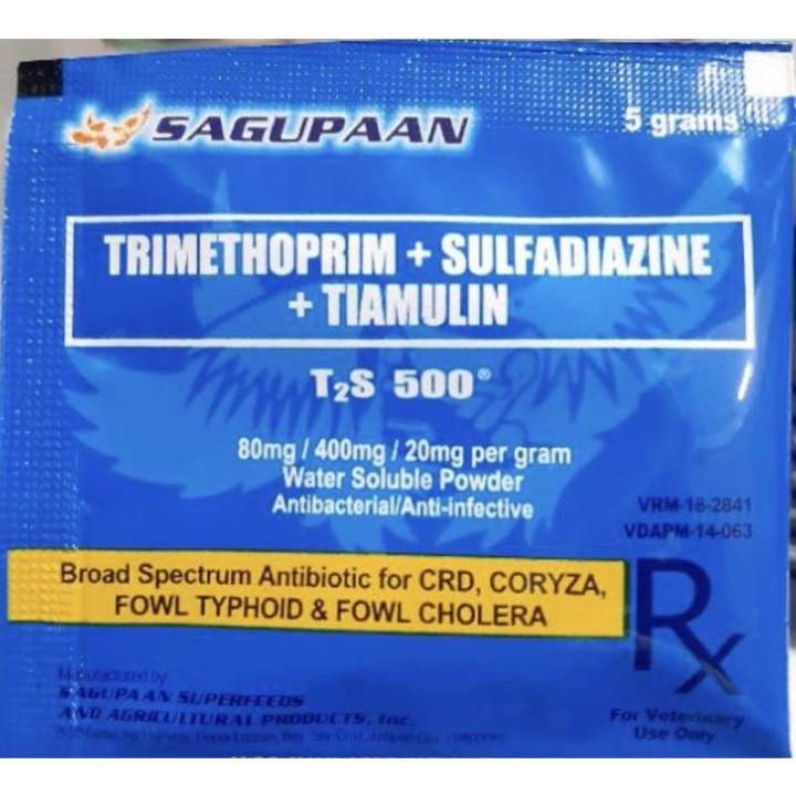 SAGUPAAN T2S 500 POWDER SOLD PER 1 SACHET( 5 grams) | Lazada PH
