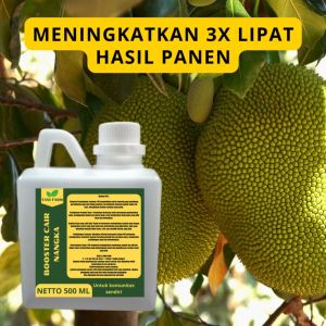 Pupuk Pelebat Nangka