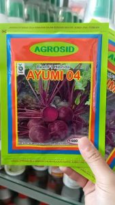Benih Bit Ayumi 1500biji
