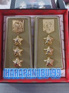 PANGKAT CAMAT pangkat camat TERBARU pangkat PDH CAMAT terbaru PANGKAT PDH CAMAT TERBARU