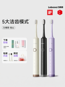 Couples Gift Adult Sonic Automatic Electric Toothbrush