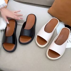 รองเท้าแตะผู้หญิง Vivien 4 สีพร้อมส่ง จาก กทม - สีของแต่ละสี เป็นอัตรา หรือ ขนาดของรองเท้า