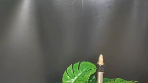 Mist Sprinkler Irigasi Air Kabut Embun Nozzle Brass Kuningan 1/2 Inch 1 PCS Alat Siram Tanaman Taman Kebun Mist Nozzle Sprayer