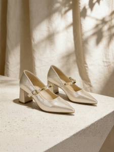 Josiny | Vintage Elegance Mary Jane Style Pointed Toe Chunky Heels Shoes