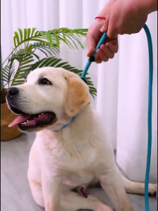 Pet Dog Reflective Rope Leash Nylon Collar for Medium to Large Dogs Breathable Adjustable