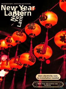 Chinese New Year Holiday Decoration String Lights