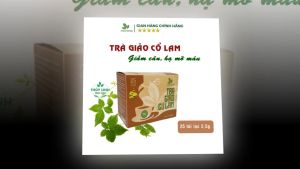 Trà Giảo Cổ Lam Thái Hưng Túi Lọc Hỗ Trợ Giảm Cân & Mỡ Máu - 100 Túi 5g