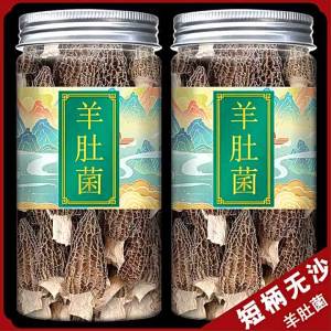 Premium Fresh Morel 500g