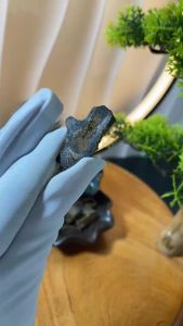 Vụn xông đốt trầm Kì Hải Nam cao cấp lọ 10 gram 120