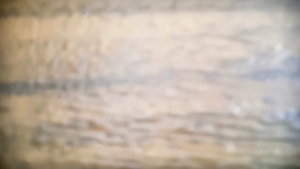 BUKU TK DAN PAUD 15 HARI LANCAR MEMBACA A I U E O DAN SUKU KATA