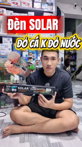 Đèn Solar Color Booster Nep Helios Đỏ Cá Không Đỏ Nước Cho Cá Rồng Lan Hán Hồng Két Cá Vàng Guppy...