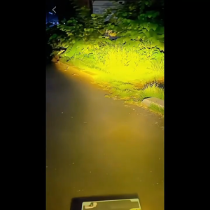 (1/2 PCS)Mini Driving Light Motorcycle LED Dual Color Waterproof High & Low Beam Switch Spotlight Fog Lamp Super Bright