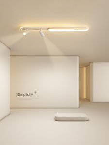 Creative LED Ceiling Light for Corridor Balcony Closet