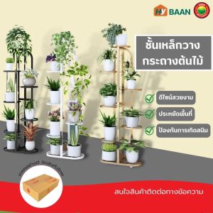 ชั้นเหล็กวางต้นไม้ steel plant stand rack มีทั้งหมด 3 ขนาด 40x42cm 42x77cm 42x90cm ชั้นวางต้นไม้ ชั้นวางดอกไม้ ชั้นวางกระบองเพชร ชั้นวางแคคตัส ชั้นวางต้นไม้มินิมอล ที่วางกระถาง โต๊ะวางต้นไม้ ชั้นวางกระถางต้นไม้เหล็กดัด ชั้นเหล็กวางของ มิตสห Mitsaha Hybaan