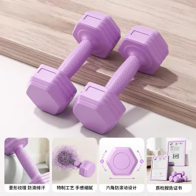 Womens Fitness Dumbbells Home Gym Equipment 2kg Pair Bell Barbell Arm And Belly Slimming Adjustable Weights Hexagonal Shape
