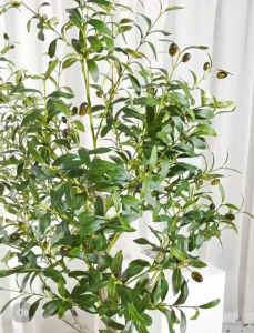 ⭐OLIVE TREE⭐ Artificial Plant Decor Tree Indoor Plant Decoration Plant Home Decor Office Plant Lobby Plant Decoration Artificial Greenery Indoor Tree Artificial Plant Decoration Indoor Plant Decor for Home Office Hotel Lobby Interior Decoration
