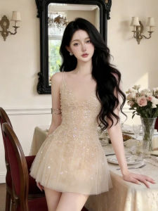 Elegant Rich Lady Style Lace Embroidery Chiffon Fluffy Dress