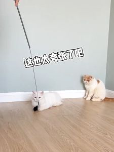 PEIGEXIAOMAO Mainan Kucing Tongkat Feather Stick Cat Toy 羽毛棒猫玩具